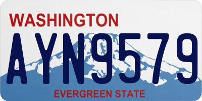 WA license plate AYN9579