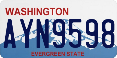 WA license plate AYN9598