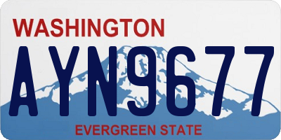 WA license plate AYN9677