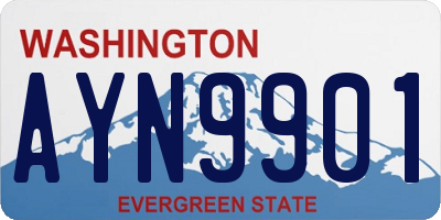 WA license plate AYN9901
