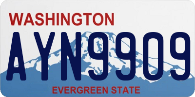 WA license plate AYN9909