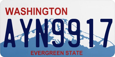 WA license plate AYN9917