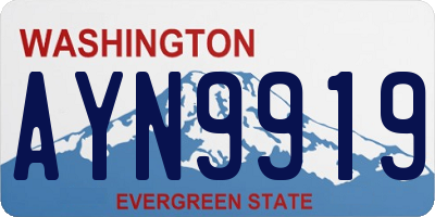 WA license plate AYN9919