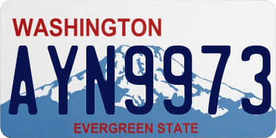WA license plate AYN9973