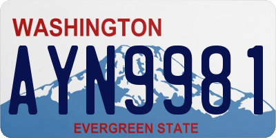 WA license plate AYN9981