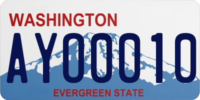 WA license plate AYO0010