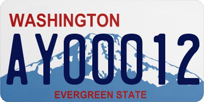WA license plate AYO0012