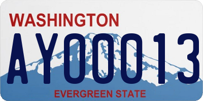 WA license plate AYO0013