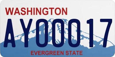 WA license plate AYO0017