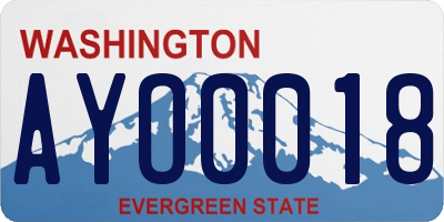 WA license plate AYO0018