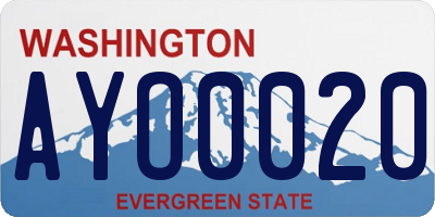 WA license plate AYO0020