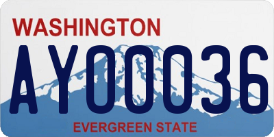 WA license plate AYO0036