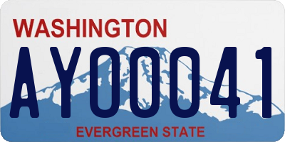 WA license plate AYO0041