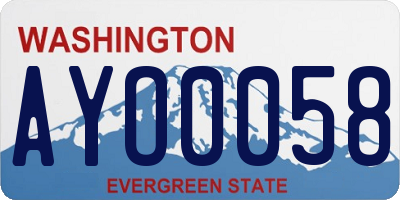 WA license plate AYO0058