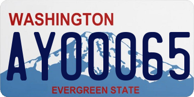 WA license plate AYO0065