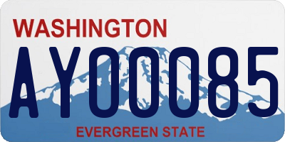 WA license plate AYO0085