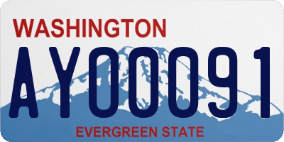 WA license plate AYO0091