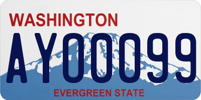 WA license plate AYO0099