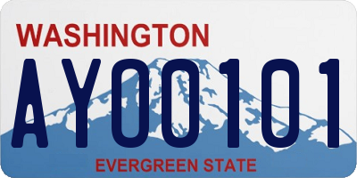 WA license plate AYO0101