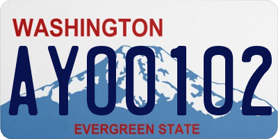 WA license plate AYO0102