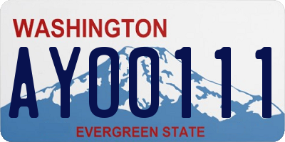 WA license plate AYO0111