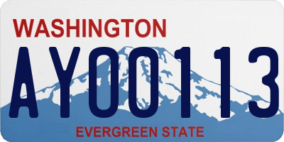 WA license plate AYO0113