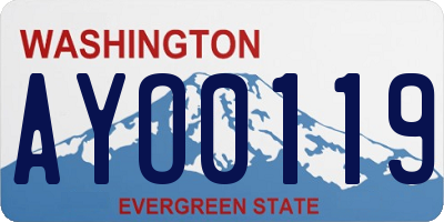 WA license plate AYO0119