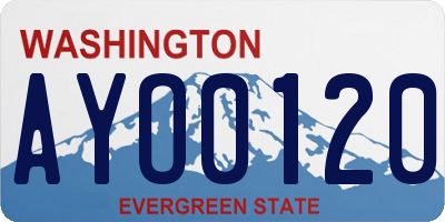 WA license plate AYO0120