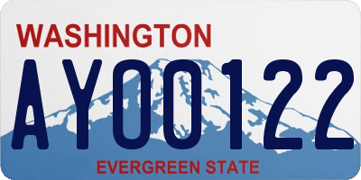 WA license plate AYO0122