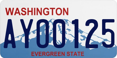 WA license plate AYO0125
