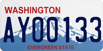 WA license plate AYO0133