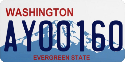 WA license plate AYO0160