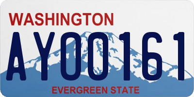 WA license plate AYO0161