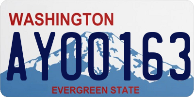 WA license plate AYO0163
