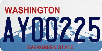 WA license plate AYO0225