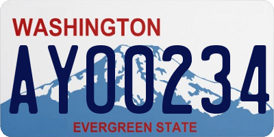WA license plate AYO0234