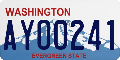 WA license plate AYO0241