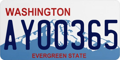 WA license plate AYO0365