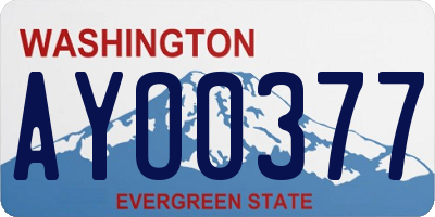 WA license plate AYO0377