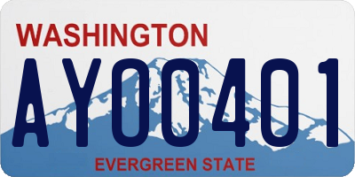 WA license plate AYO0401