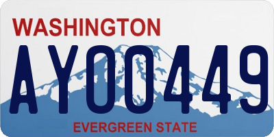 WA license plate AYO0449