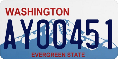 WA license plate AYO0451