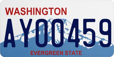 WA license plate AYO0459