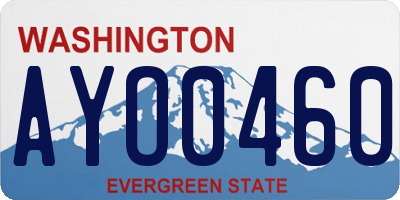 WA license plate AYO0460