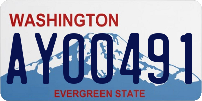 WA license plate AYO0491