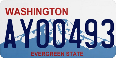 WA license plate AYO0493