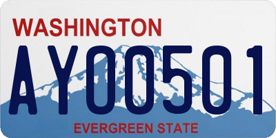 WA license plate AYO0501