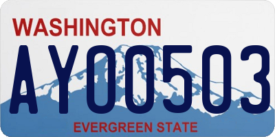 WA license plate AYO0503