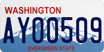 WA license plate AYO0509