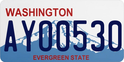 WA license plate AYO0530